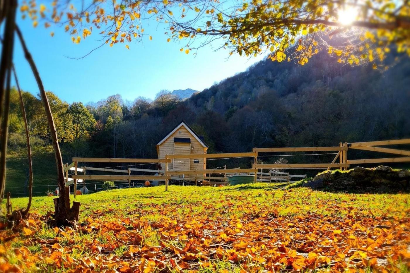Cab'Anes Du Pibeste Segus Habitación foto